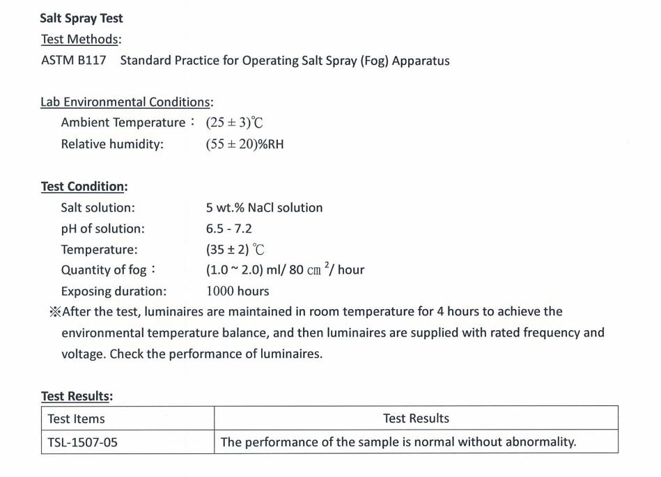 WSL LED Street Light-1000H Salt Spray Test Approved